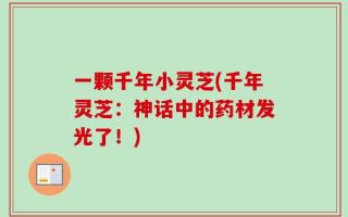 一颗千年小灵芝(千年灵芝：神话中的药材发光了！)