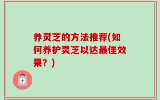 养灵芝的方法推荐(如何养护灵芝以达最佳效果？)