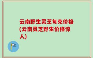 云南野生灵芝每克价格(云南灵芝野生价格惊人)