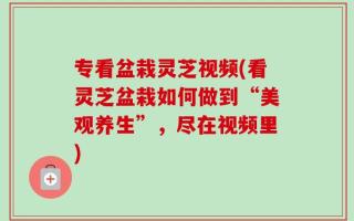 专看盆栽灵芝视频(看灵芝盆栽如何做到“美观养生”，尽在视频里)