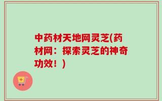 中药材天地网灵芝(药材网：探索灵芝的神奇功效！)