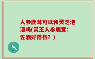 人参鹿茸可以和灵芝泡酒吗(灵芝人参鹿茸：佐酒好搭档？)