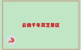 云南千年灵芝景区