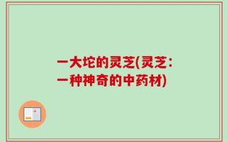 一大坨的灵芝(灵芝：一种神奇的中药材)
