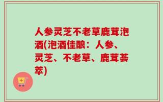 人参灵芝不老草鹿茸泡酒(泡酒佳酿：人参、灵芝、不老草、鹿茸荟萃)
