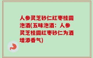 人参灵芝砂仁红枣桂圆泡酒(五味泡酒：人参灵芝桂圆红枣砂仁为酒增添香气)