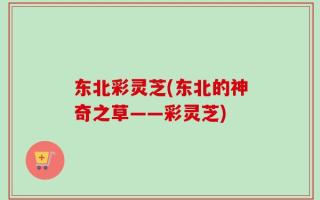 东北彩灵芝(东北的神奇之草——彩灵芝)