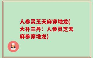人参灵芝天麻穿地龙(大补三丹：人参灵芝天麻参穿地龙)