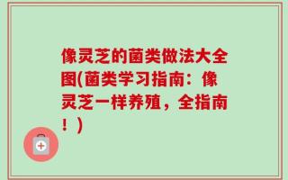 像灵芝的菌类做法大全图(菌类学习指南：像灵芝一样养殖，全指南！)