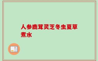 人参鹿茸灵芝冬虫夏草煮水