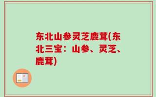 东北山参灵芝鹿茸(东北三宝：山参、灵芝、鹿茸)