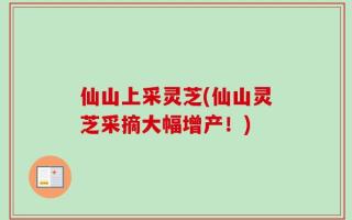 仙山上采灵芝(仙山灵芝采摘大幅增产！)
