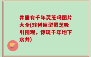 井里有千年灵芝吗图片大全(珍稀巨型灵芝吸引围观，惊现千年地下水井)