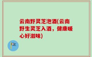 云南野灵芝泡酒(云南野生灵芝入酒，健康暖心好滋味)