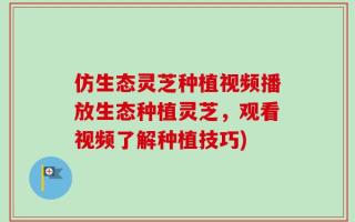 仿生态灵芝种植视频播放生态种植灵芝，观看视频了解种植技巧)