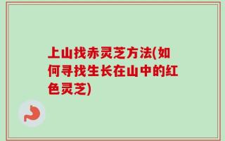 上山找赤灵芝方法(如何寻找生长在山中的红色灵芝)