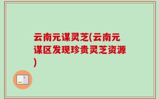 云南元谋灵芝(云南元谋区发现珍贵灵芝资源)