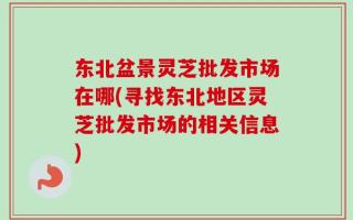 东北盆景灵芝批发市场在哪(寻找东北地区灵芝批发市场的相关信息)