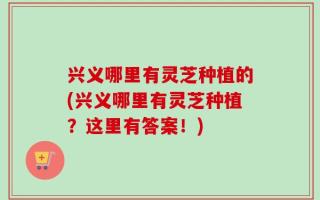 兴义哪里有灵芝种植的(兴义哪里有灵芝种植？这里有答案！)