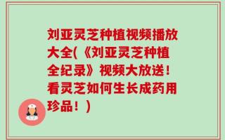 刘亚灵芝种植视频播放大全(《刘亚灵芝种植全纪录》视频大放送！看灵芝如何生长成药用珍品！)