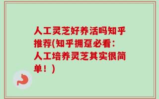 人工灵芝好养活吗知乎推荐(知乎拥趸必看：人工培养灵芝其实很简单！)