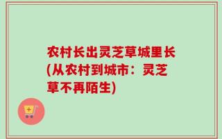 农村长出灵芝草城里长(从农村到城市：灵芝草不再陌生)