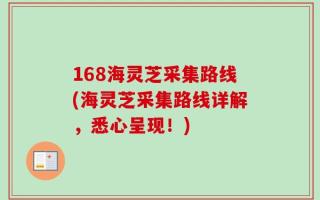 168海灵芝采集路线(海灵芝采集路线详解，悉心呈现！)