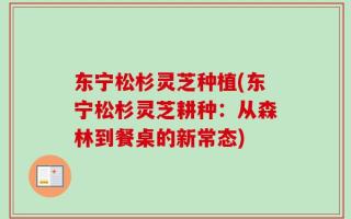 东宁松杉灵芝种植(东宁松杉灵芝耕种：从森林到餐桌的新常态)