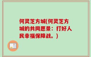 何灵芝方城(何灵芝方城的共同愿景：打好人民幸福保障战。)