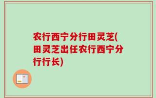 农行西宁分行田灵芝(田灵芝出任农行西宁分行行长)