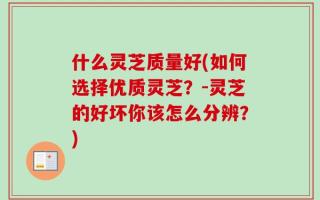 什么灵芝质量好(如何选择优质灵芝？-灵芝的好坏你该怎么分辨？)