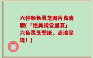 六种颜色灵芝图片高清版(「绝美视觉盛宴」六色灵芝壁纸，高清呈现！)