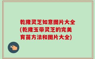 乾隆灵芝如意图片大全(乾隆玉带灵芝的完美育苗方法和图片大全)