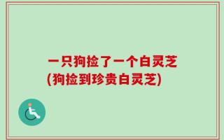 一只狗捡了一个白灵芝(狗捡到珍贵白灵芝)