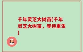 千年灵芝大树苗(千年灵芝大树苗，等待重生)
