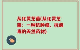 从化灵芝菌(从化灵芝菌：一种抗肿瘤、抗病毒的天然药材)