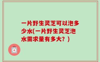 一片野生灵芝可以泡多少水(一片野生灵芝泡水需求量有多大？)