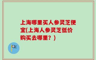 上海哪里买人参灵芝便宜(上海人参灵芝低价购买去哪里？)
