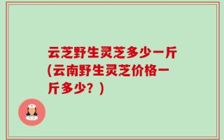 云芝野生灵芝多少一斤(云南野生灵芝价格一斤多少？)