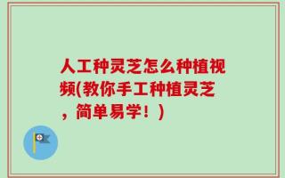 人工种灵芝怎么种植视频(教你手工种植灵芝，简单易学！)