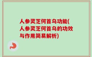人参灵芝何首乌功能(人参灵芝何首乌的功效与作用简易解析)
