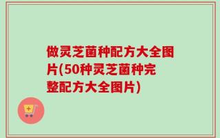 做灵芝菌种配方大全图片(50种灵芝菌种完整配方大全图片)