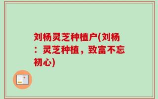 刘杨灵芝种植户(刘杨：灵芝种植，致富不忘初心)