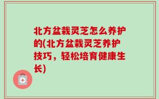 北方盆栽灵芝怎么养护的(北方盆栽灵芝养护技巧，轻松培育健康生长)