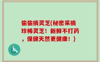 偷偷摘灵芝(秘密采摘珍稀灵芝！新鲜不打药，保健天然更健康！)