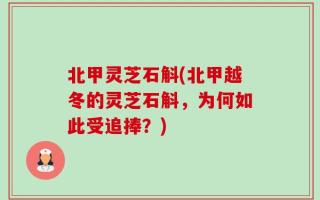 北甲灵芝石斛(北甲越冬的灵芝石斛，为何如此受追捧？)