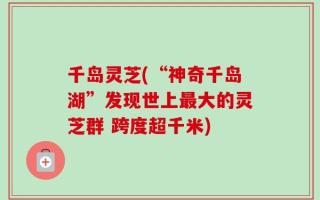 千岛灵芝(“神奇千岛湖”发现世上最大的灵芝群 跨度超千米)