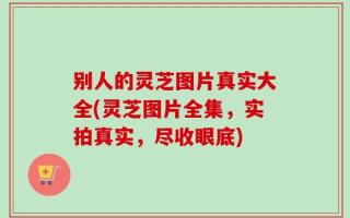 别人的灵芝图片真实大全(灵芝图片全集，实拍真实，尽收眼底)