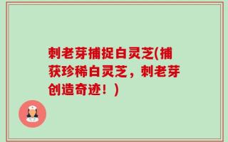 刺老芽捕捉白灵芝(捕获珍稀白灵芝，刺老芽创造奇迹！)