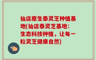 仙店原生泰灵芝种植基地(仙店泰灵芝基地：生态科技种植，让每一粒灵芝健康自然)